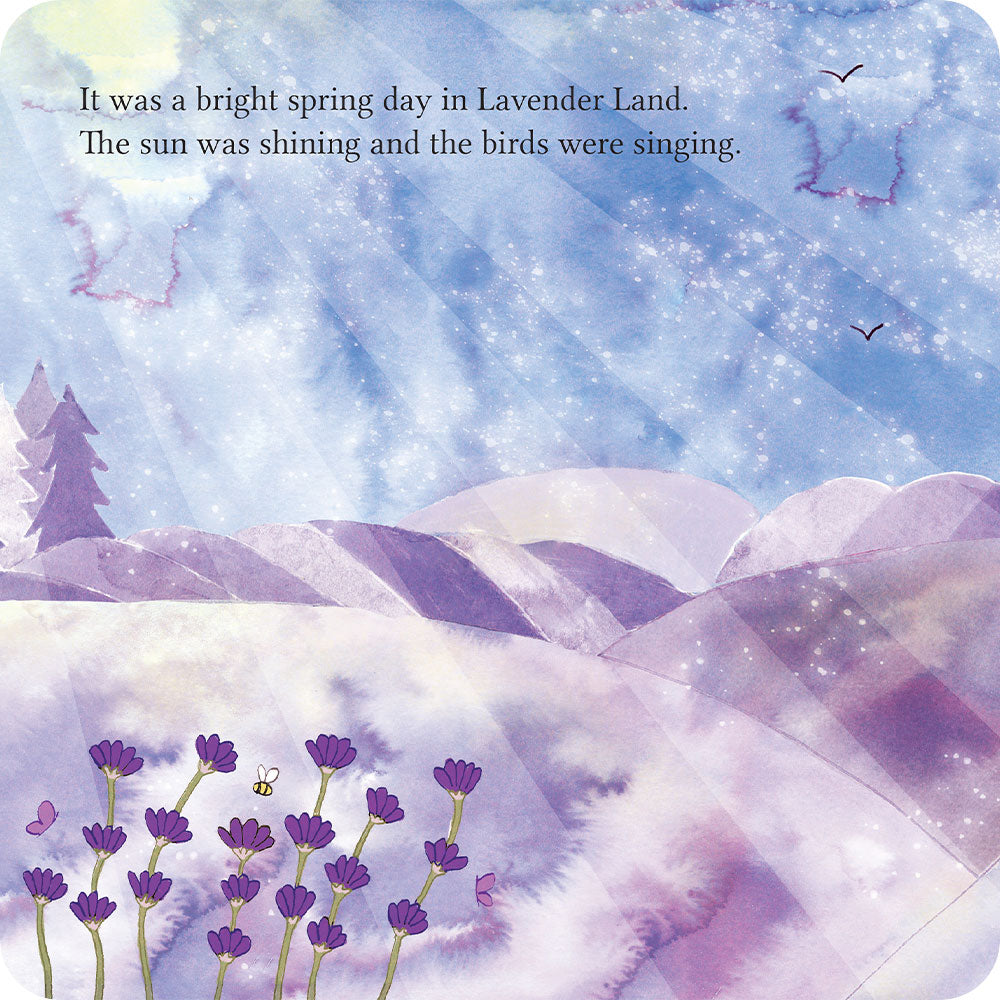 A Special Secret Place Board Book
