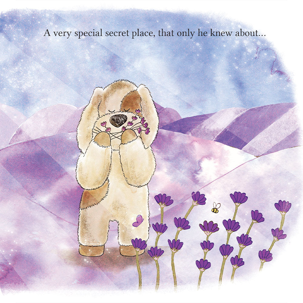 A Special Secret Place Board Book