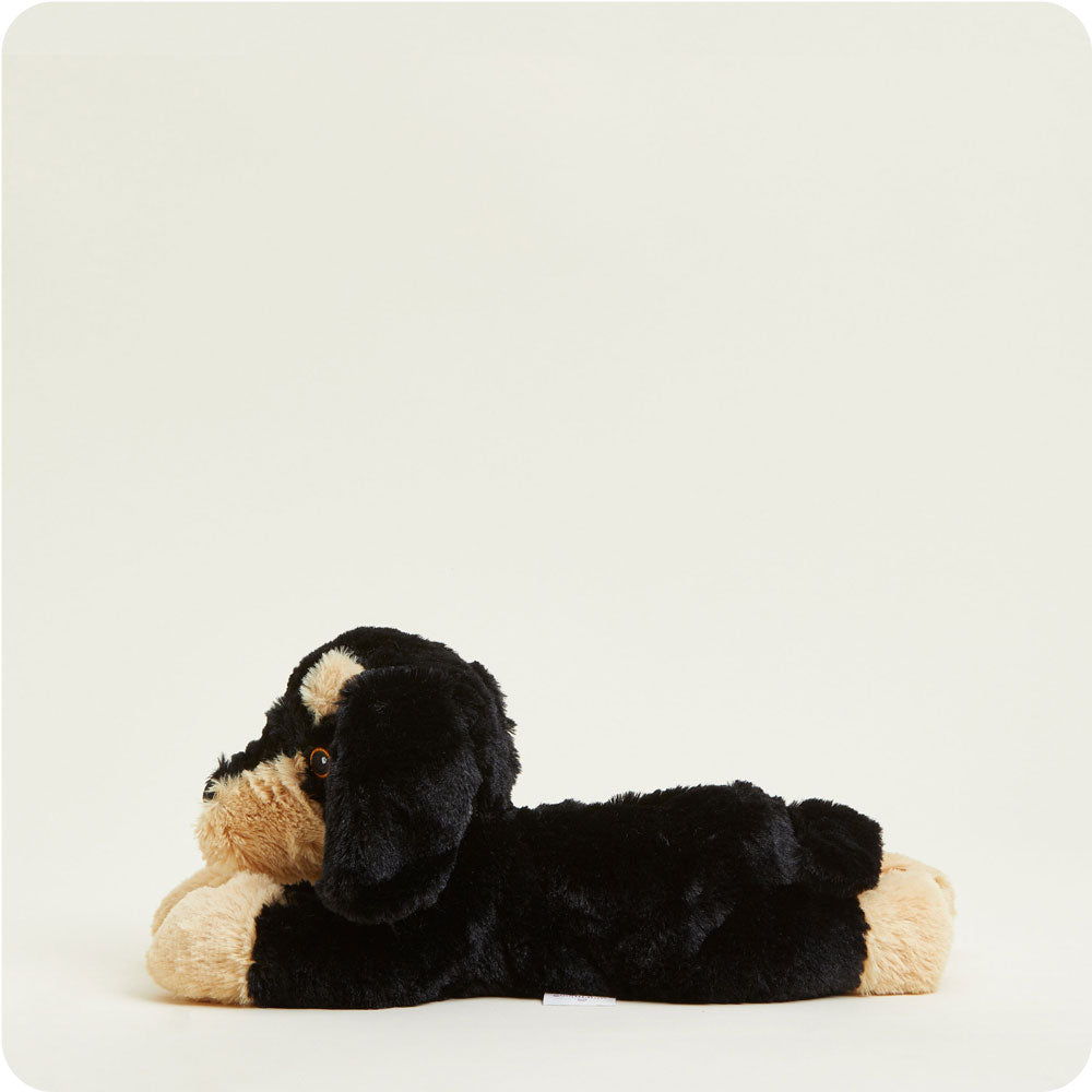 Dachshund Warmies