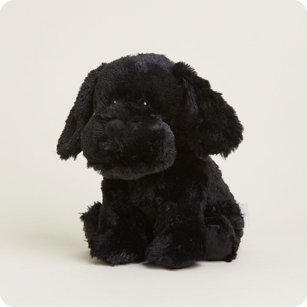 Black Labrador Warmies