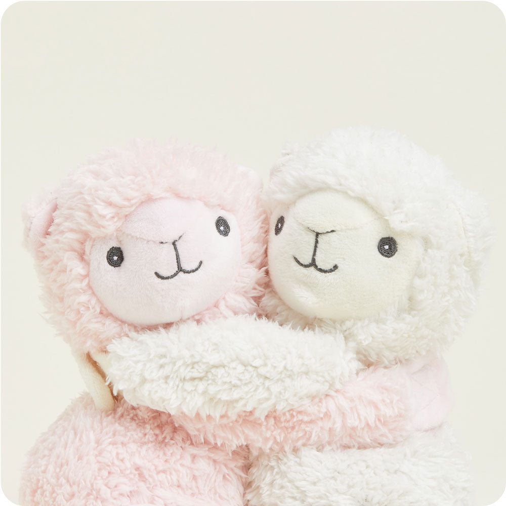 Llama Hugs