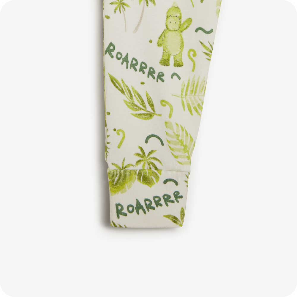 Dinosaur 100% Cotton Long Pajamas