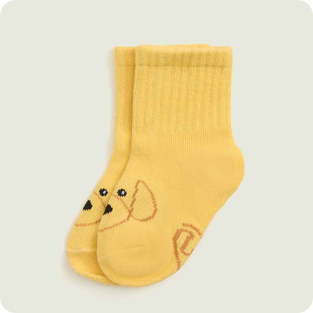 Golden Dog Baby Sock Set