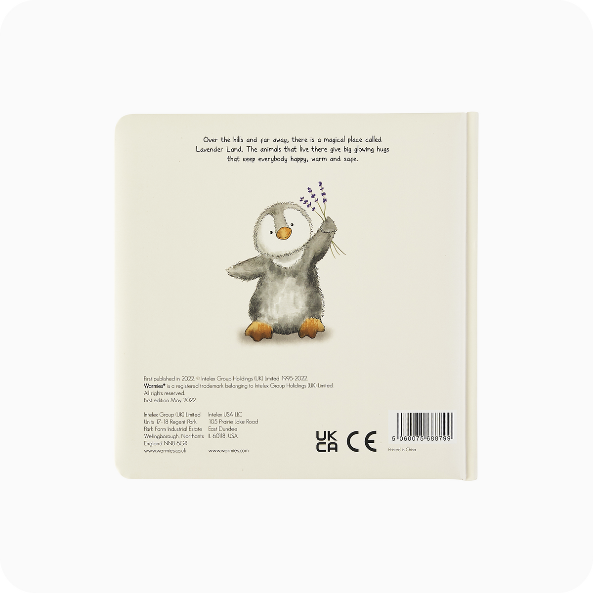 Lost in the Woods Board Book