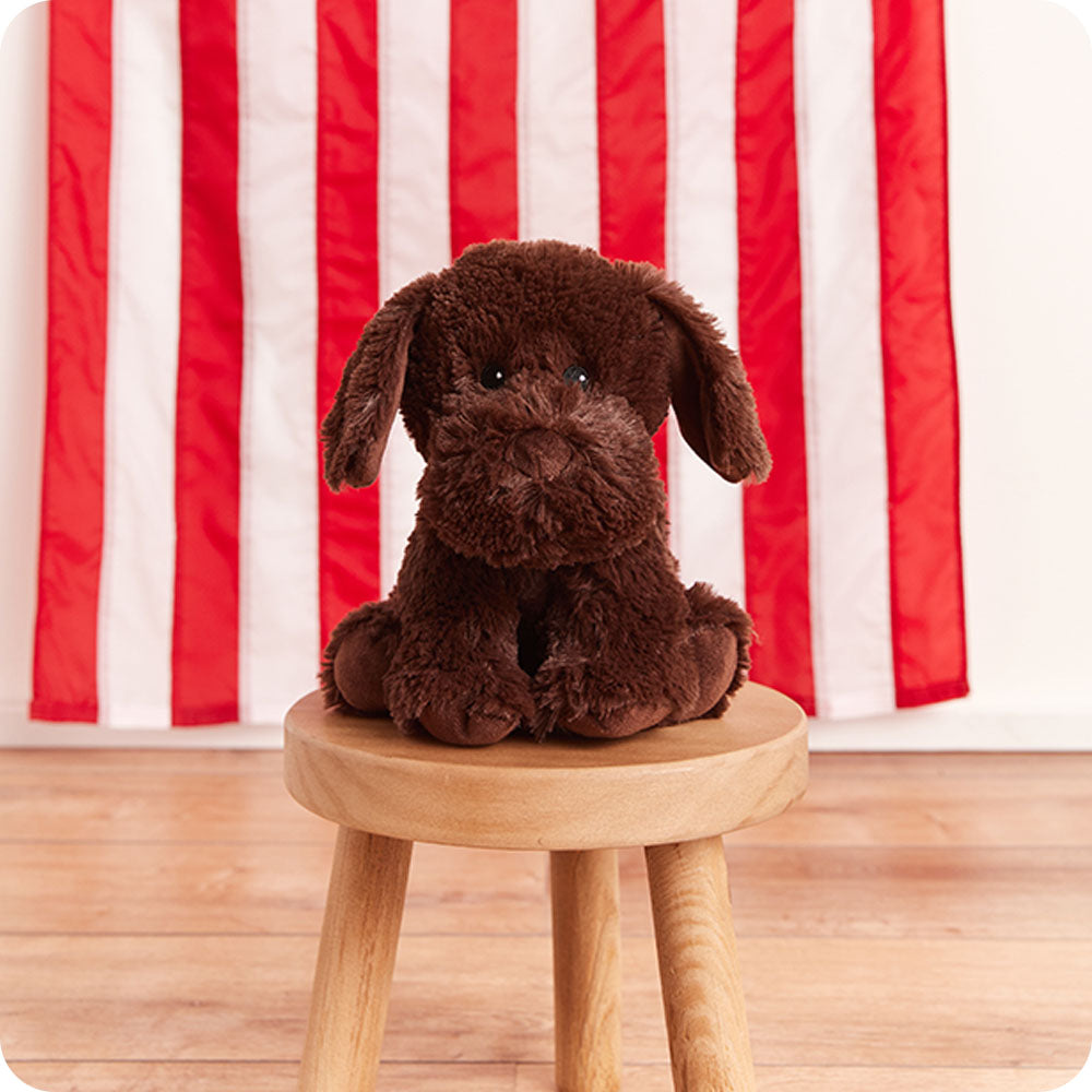 Chocolate Labrador Warmies