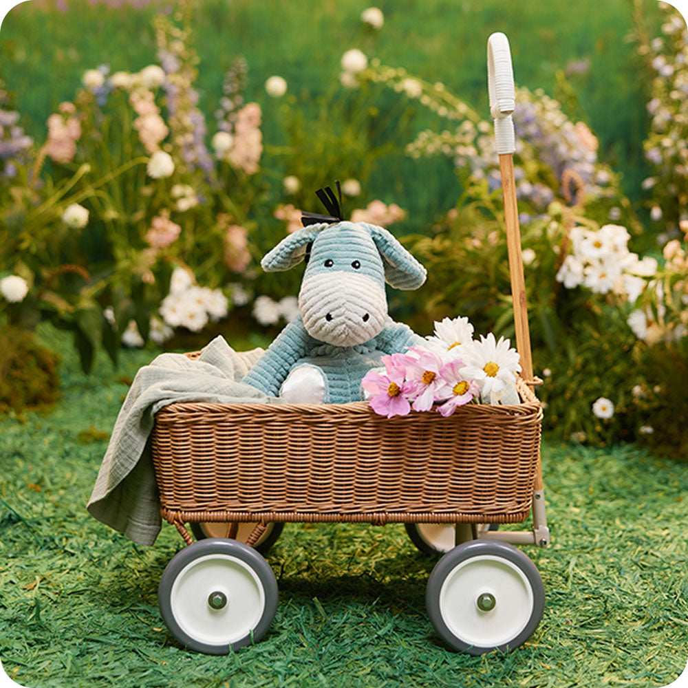 Donkey - My First Warmies